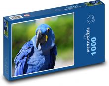 Modrý papoušek - pták, zvíře Puzzle 1000 dílků - 60 x 46 cm