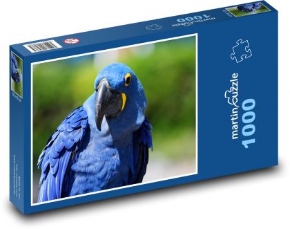 Niebieska papuga - ptak, zwierzę - Puzzle 1000 elementów, rozmiar 60x46 cm
