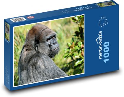 Gorila - opica, zviera - Puzzle 1000 dielikov, rozmer 60x46 cm