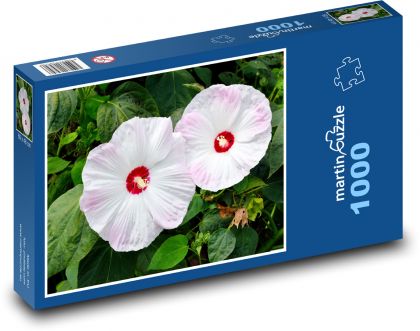 Giant hibiscus - flower, garden - Puzzle 1000 pieces, size 60x46 cm 