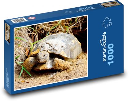 Želva - plaz, zvíře - Puzzle 1000 dílků, rozměr 60x46 cm