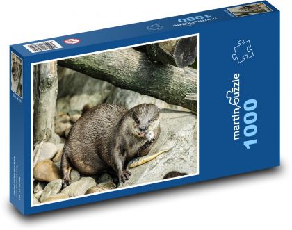 Otter - eat, mammal - Puzzle 1000 pieces, size 60x46 cm 
