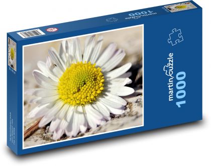 Sedmikráska - okvětní lístky, květina - Puzzle 1000 dílků, rozměr 60x46 cm