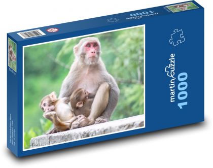 Opice - krmení, matka - Puzzle 1000 dílků, rozměr 60x46 cm