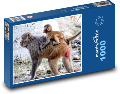 Monkeys - baboons, primates - Puzzle 1000 pieces, size 60x46 cm 