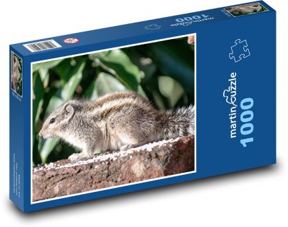 Eichhörnchen - Nagetier, Tier - Puzzle - 1000 Teile