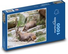 Kozoroh - zvíře, skály Puzzle 1000 dílků - 60 x 46 cm