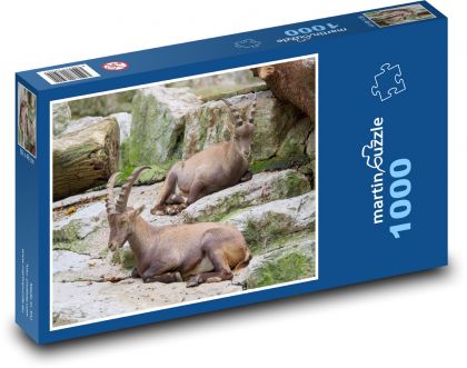 Kozoroh - zvíře, skály - puzzle 1000 dílků