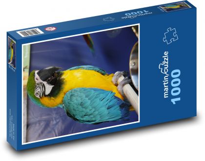 Papagáj - vták, zviera - Puzzle 1000 dielikov, rozmer 60x46 cm