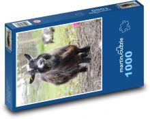 Koza karłowata - zwierzę gospodarskie, gospodarstwo Puzzle 1000 elementów - 60x46 cm
