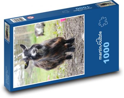 Koza karłowata - zwierzę gospodarskie, gospodarstwo - Puzzle 1000 elementów, rozmiar 60x46 cm