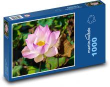 Lotus - flower, flower Puzzle 1000 pieces - 60 x 46 cm 