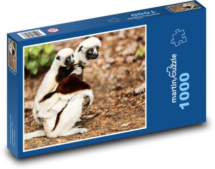 Sifaka Coquerel - lemur, zviera - Puzzle 1000 dielikov, rozmer 60x46 cm