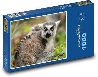 Lemur - matka i młode, zwierzę - Puzzle 1000 elementów, rozmiar 60x46 cm