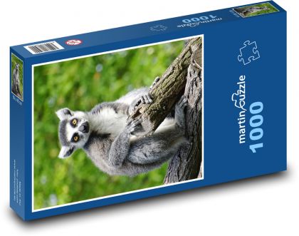 Lemur - opice, cicavce - Puzzle 1000 dielikov, rozmer 60x46 cm