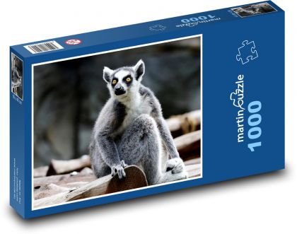 Lemur - Säugetier, Tier - Puzzle - 1000 Teile