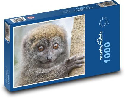 Lemur - animal, primate - Puzzle 1000 pieces, size 60x46 cm 
