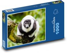 Lemur - zblízka, zvíře Puzzle 1000 - 60x46 cm