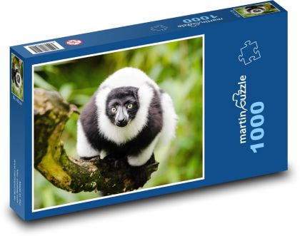Lemur - Nahaufnahme, Tier - Puzzle - 1000 Teile