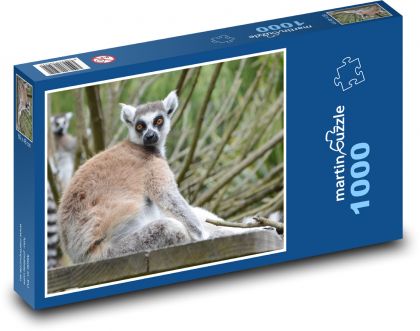 Lemur madagaskarský - zvíře, savec - Puzzle 1000 dílků, rozměr 60x46 cm