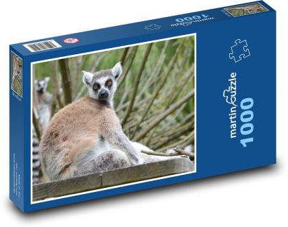 Lemur madagaskarski - zwierzęcy, ssak - Puzzle 1000 elementów, rozmiar 60x46 cm