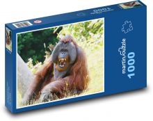 Orangutan - opice, zvíře Puzzle 1000 dílků - 60 x 46 cm