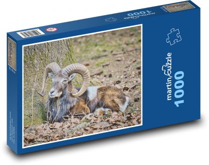 Muflon - baran, owca - Puzzle 1000 elementów, rozmiar 60x46 cm