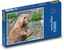 Prairie dog - animal, rodent Puzzle 1000 pieces - 60 x 46 cm 