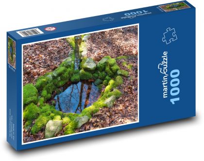 Brunnen - Wasser, Wald - Puzzle - 1000 Teile