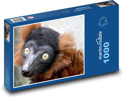 Maki red - lemur, animal - Puzzle 1000 pieces, size 60x46 cm 