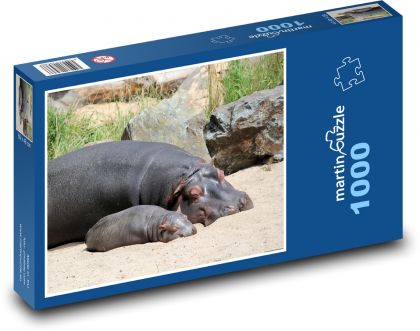 Hroch - mládě, zvíře - Puzzle 1000 dílků, rozměr 60x46 cm