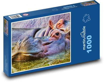 Hroch - zvíře, zoo - Puzzle 1000 dílků, rozměr 60x46 cm