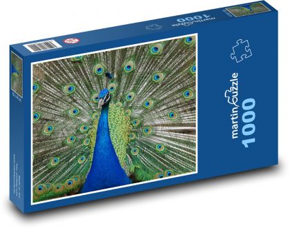 Pfau - Tier, Pfauenfedern - Puzzle - 1000 Teile