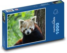 Panda červená - zvíře, zoo Puzzle 1000 dílků - 60 x 46 cm