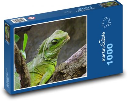 Lizard - terrarium, reptile - Puzzle 1000 pieces, size 60x46 cm 