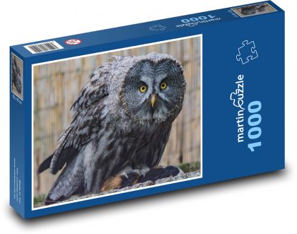Sova - vták, zviera - Puzzle 1000 dielikov, rozmer 60x46 cm