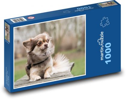 Chihuahua - Hund, Haustier - Puzzle - 1000 Teile