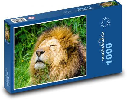 Lev - zvíře, šelma - Puzzle 1000 dílků, rozměr 60x46 cm