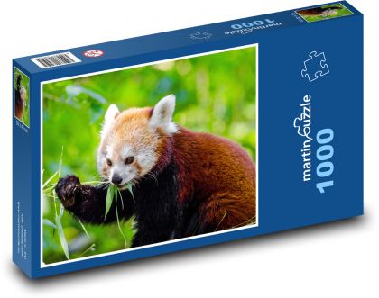 Panda červená - zvíře, divoké - Puzzle 1000 dílků, rozměr 60x46 cm