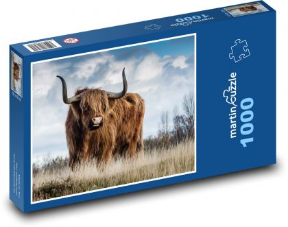 Highland cattle - cow, animal - Puzzle 1000 pieces, size 60x46 cm 