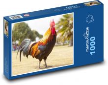 Kohout - zvíře, drůbež Puzzle 1000 dílků - 60 x 46 cm