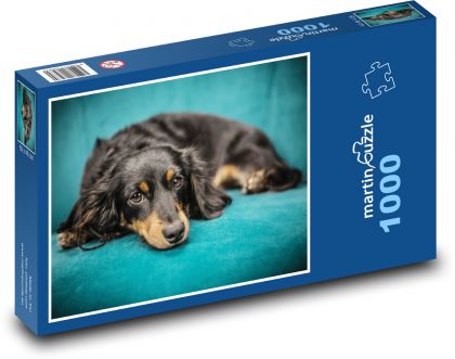 Pes - šteniatko, gauč - Puzzle 1000 dielikov, rozmer 60x46 cm