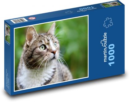 Mačka - domáce zviera, zviera - Puzzle 1000 dielikov, rozmer 60x46 cm