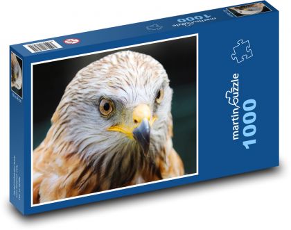 Buzzard - zviera, vták - Puzzle 1000 dielikov, rozmer 60x46 cm