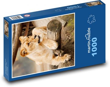 Lwica - zwierzę, lew - Puzzle 1000 elementów, rozmiar 60x46 cm