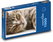 Kočka - domácí mazlíček, zvíře Puzzle 1000 dílků - 60 x 46 cm