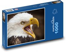 Sea eagle - predator, bird Puzzle 1000 pieces - 60 x 46 cm