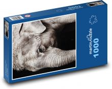 Slon - safari, zvíře Puzzle 1000 dílků - 60 x 46 cm