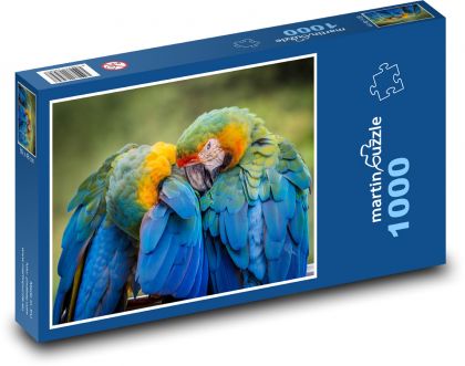 Papoušek - pták, zvíře - Puzzle 1000 dílků, rozměr 60x46 cm