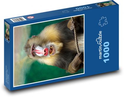 Pavián - opice, Afrika - Puzzle 1000 dílků, rozměr 60x46 cm